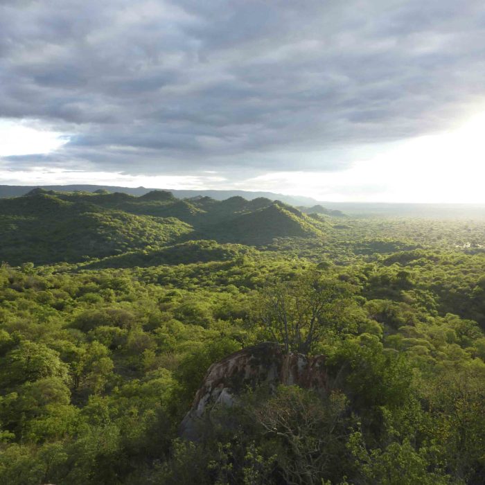 Kidero hills - Yaeda Valley REDD project